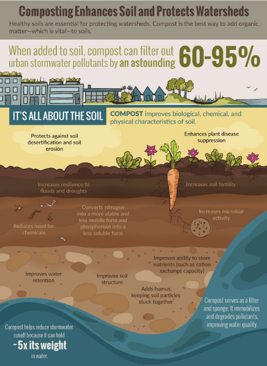 Infographic on composting
