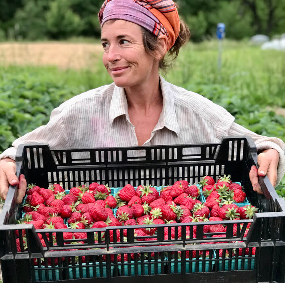 Woman holding tray of fresh strawberries