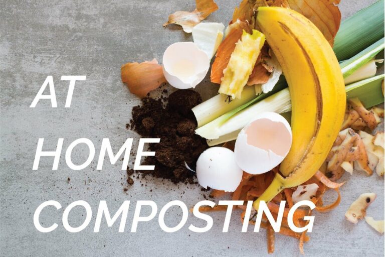 pile of compostable food scraps
