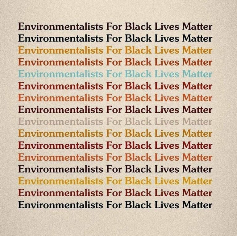 Environmentalists for BLM