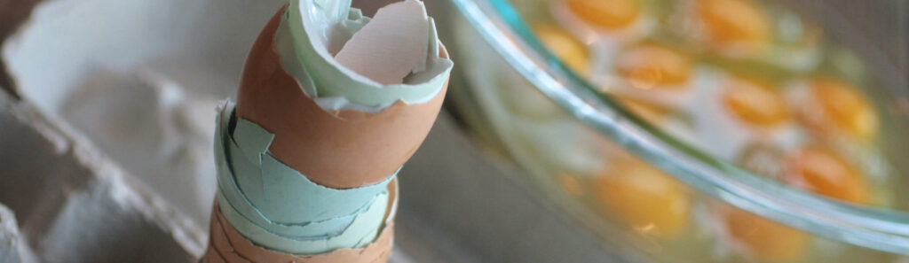 Egg shells